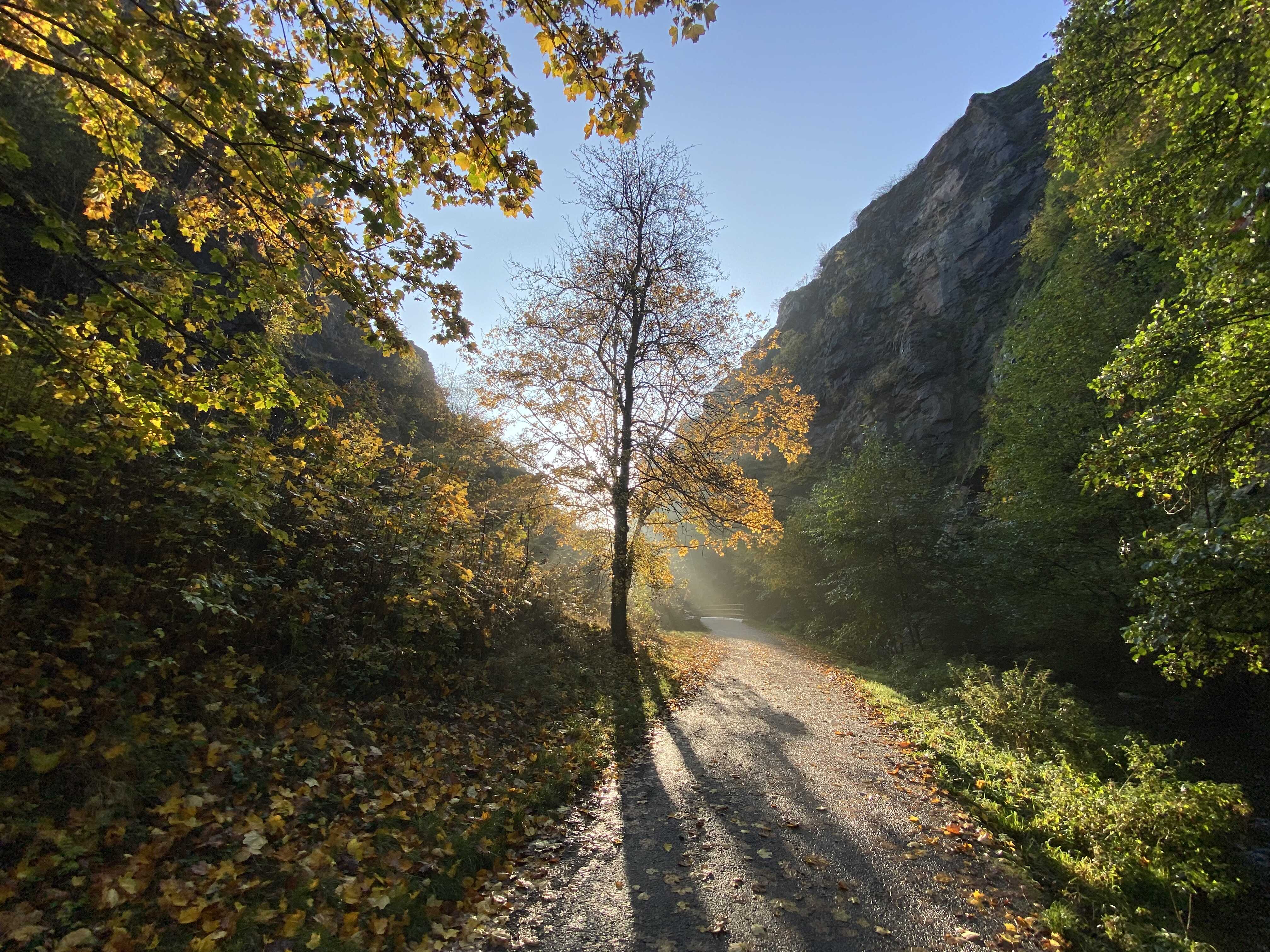 Divoká Šárka