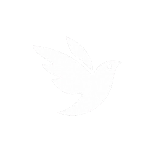 iNaturalist