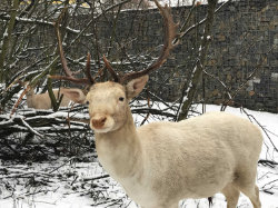 Hostivařský lesopark a Trojmezí – foto 1