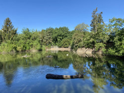Hostivařský lesopark a Trojmezí – foto 3