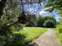 Hostivařský lesopark a Trojmezí – foto 6