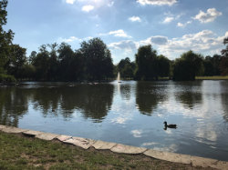 Přírodní památka Královská obora – foto 1