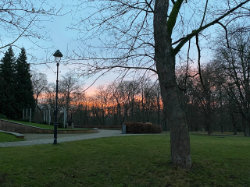 Přírodní památka Královská obora – foto 2
