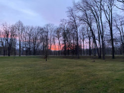 Přírodní památka Královská obora – foto 3