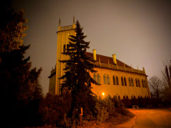 Přírodní památka Královská obora – foto 4