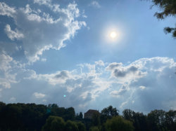 Přírodní památka Královská obora – foto 6