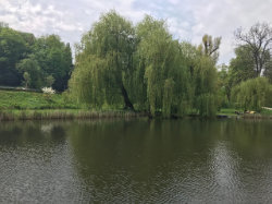 Přírodní památka Královská obora – foto 7