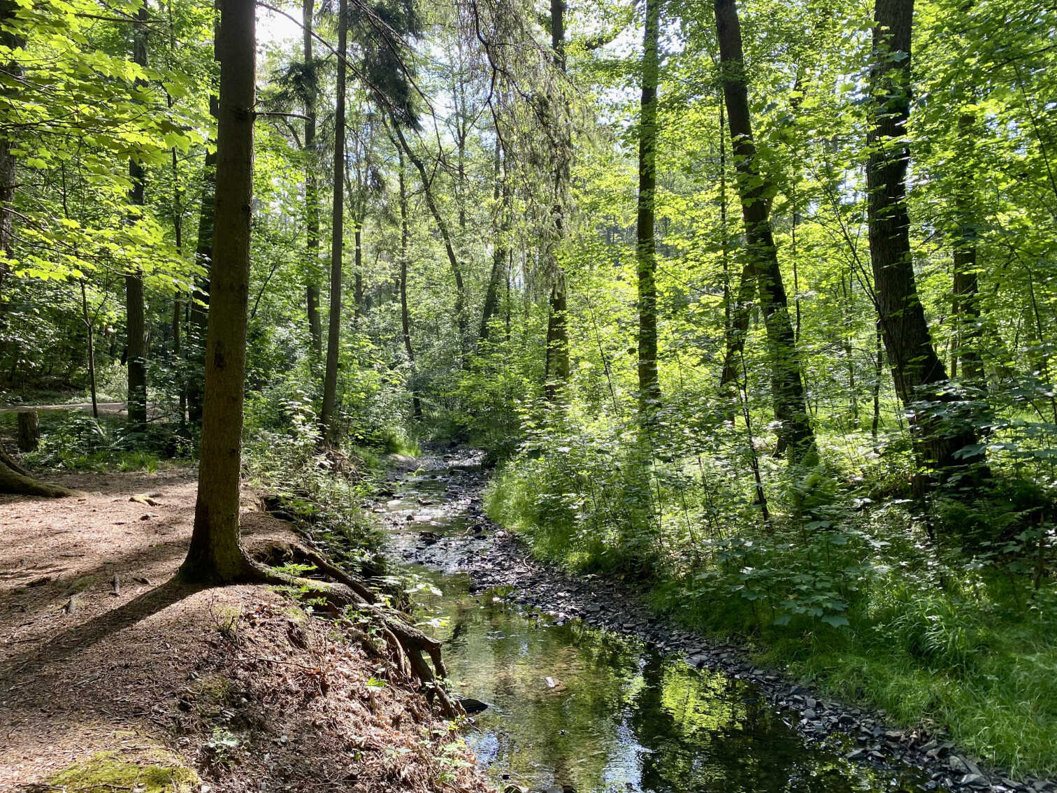 Přírodní park Modřanská rokle - Cholupice
