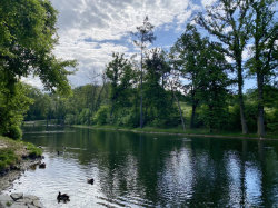 Přírodní park Modřanská rokle - Cholupice – foto 1