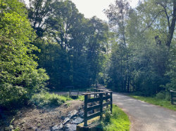 Přírodní park Modřanská rokle - Cholupice – foto 2