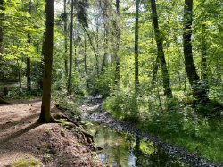 Přírodní park Modřanská rokle - Cholupice – foto 3