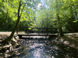 Přírodní park Modřanská rokle - Cholupice – foto 4