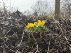 Přírodní památka Obora Hvězda – foto 1