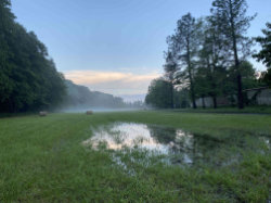 Přírodní památka Obora Hvězda – foto 2