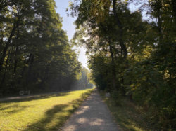 Přírodní památka Obora Hvězda – foto 4