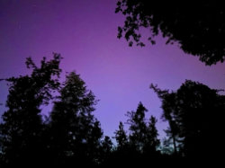 Přírodní památka Obora Hvězda – foto 7