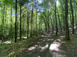 Radotínské údolí a Chuchelský háj – foto 5