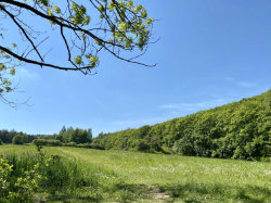 Šárecké údolí – foto 3