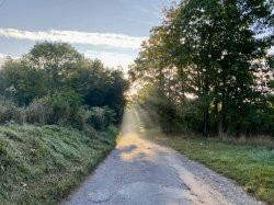 Šárecké údolí – foto 5