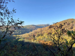 Šárecké údolí – foto 6