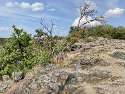 Šárecké údolí – foto 7