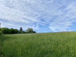 Přírodní památka Sedlecké skály – foto 5