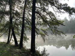 Kunratický les - Údolí Kunratického potoka – foto 1
