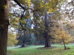 Kunratický les - Údolí Kunratického potoka – foto 3