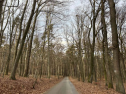 Kunratický les - Údolí Kunratického potoka – foto 4
