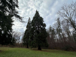 Kunratický les - Údolí Kunratického potoka – foto 5