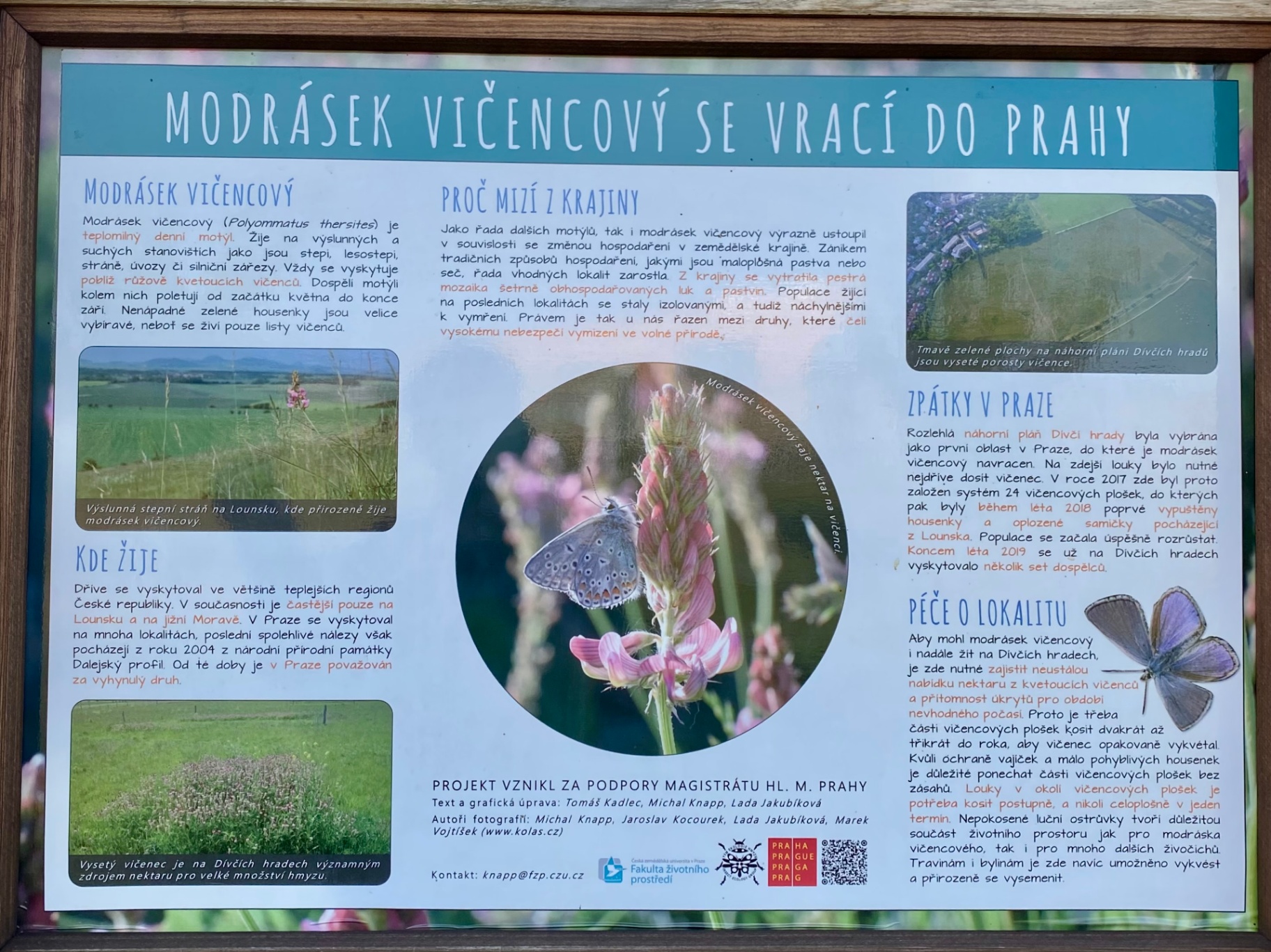 Informační tabule o reintrodukci modráska vičencového v Dívčích hradech